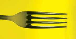 fork detail